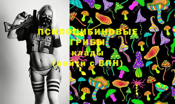 соль ск Кинешма