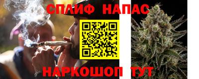 амф Заволжье
